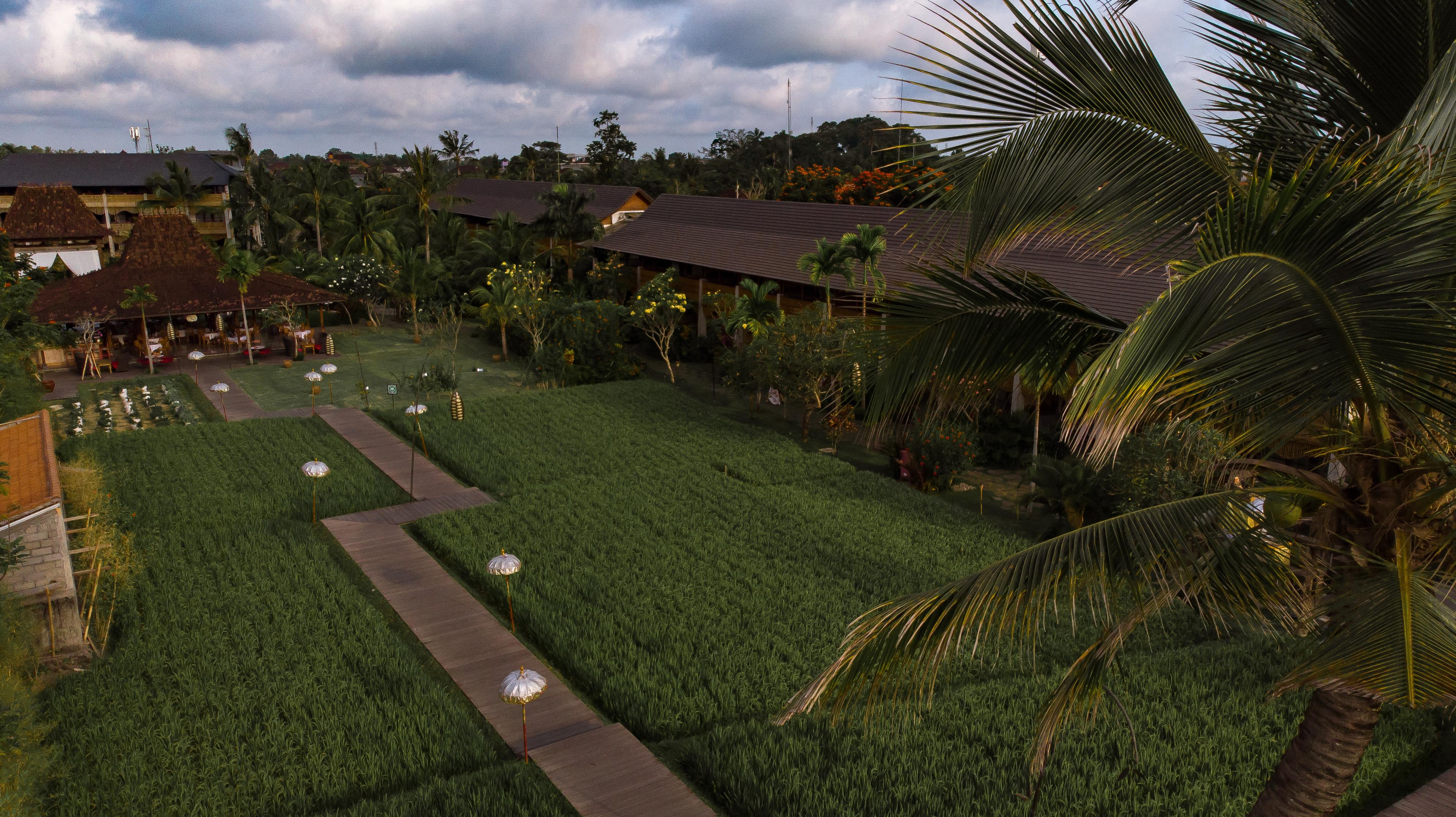 Alaya Resort Ubud Exterior foto